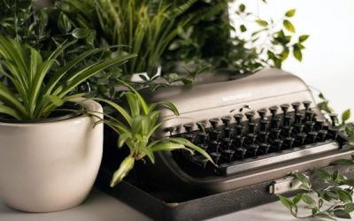 Apartment Essentials for 2025: What Every Renter Needs This Year